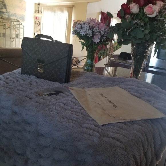 Louis Vuitton Briefcase - Picture 3 of 16